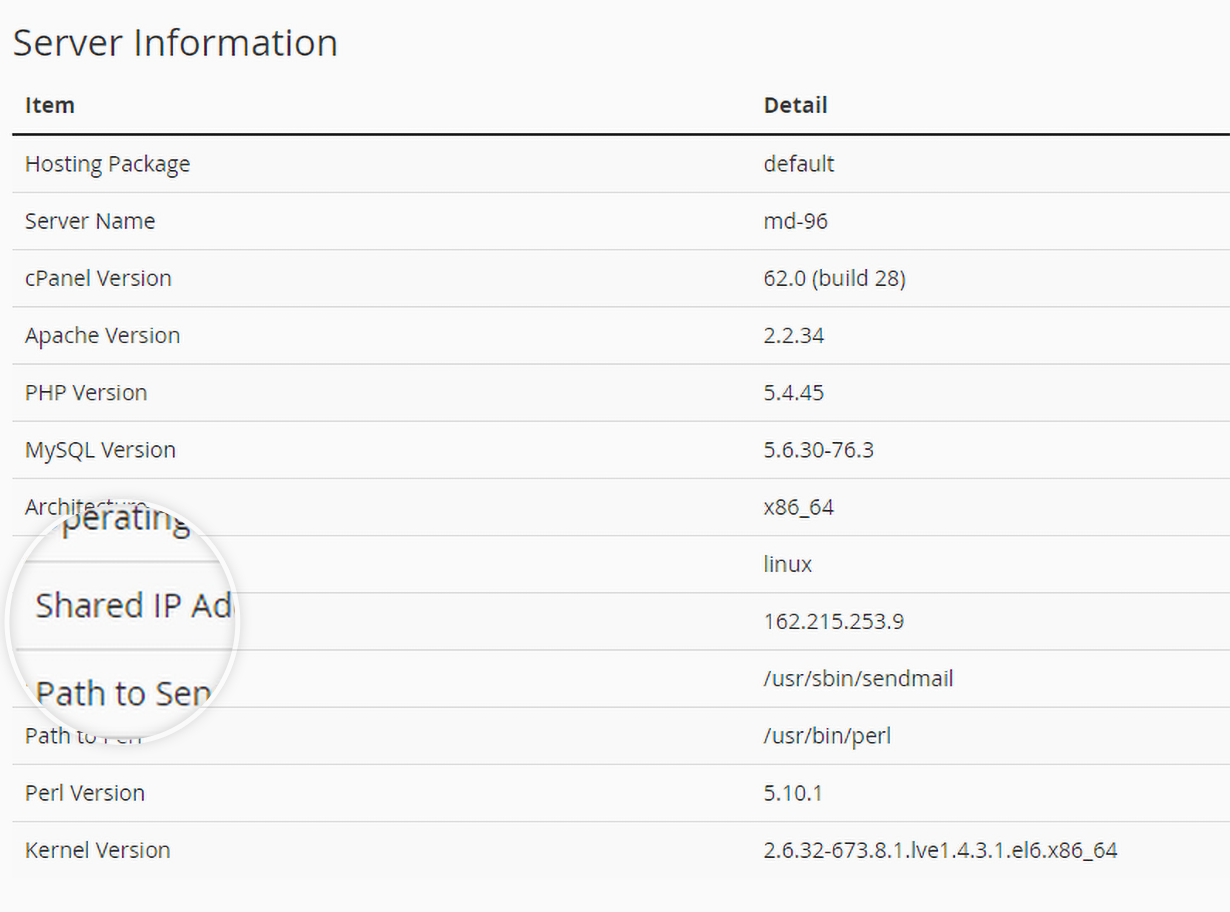 server-info-ip